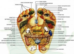 Рефлексогенные зоны стопы irest